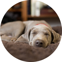 image teaser multiple